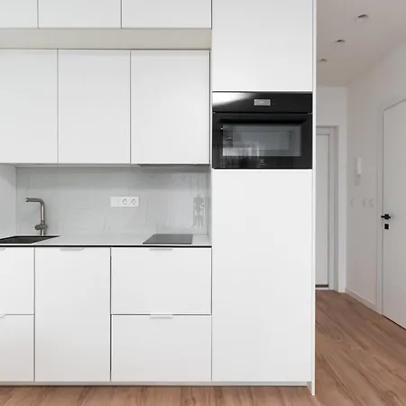 Brand New And Modern 1bdr Apartamento Vilna
