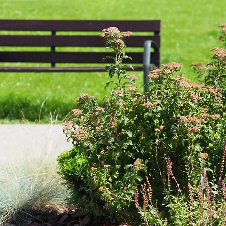 Brand New And Modern 1bdr