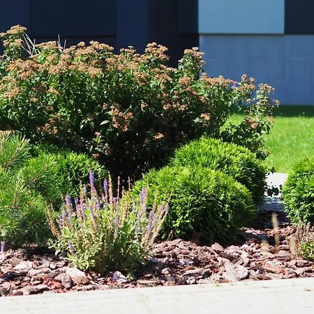 Brand New And Modern 1bdr Апартаменты *