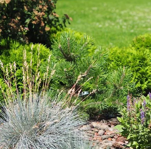 Brand New And Modern 1bdr *