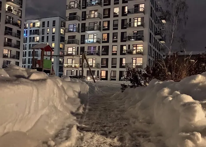 Brand New And Modern 1bdr アパート ヴィリニュス