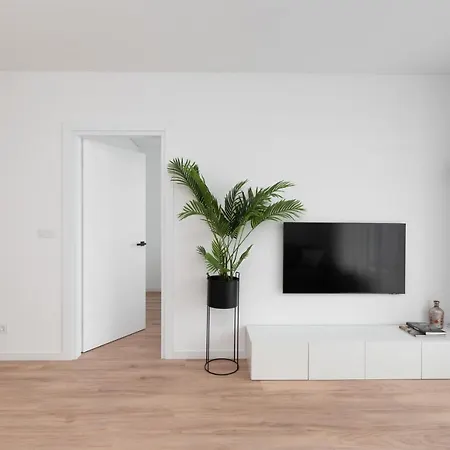 Brand New And Modern 1bdr Apartment