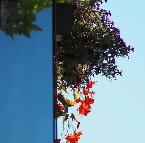 Brand New And Modern 1bdr * Vilnius