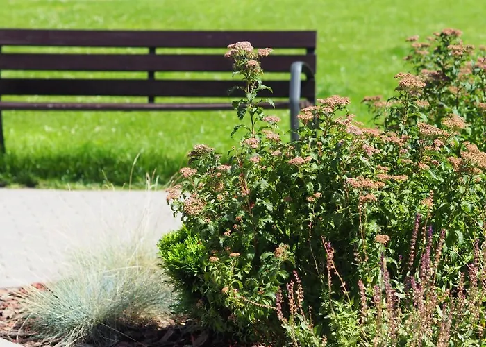 Brand New And Modern 1bdr