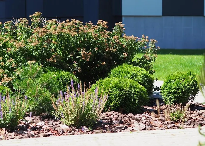 Brand New And Modern 1bdr Appartement *