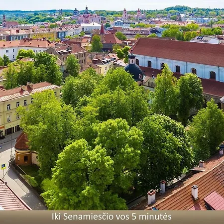 Brand New And Modern 1bdr *