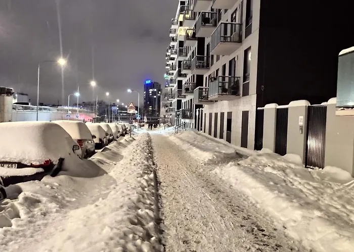 Brand New And Modern 1bdr 公寓