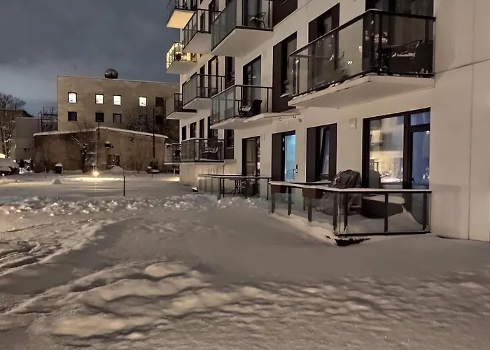 Brand New And Modern 1bdr 公寓 *